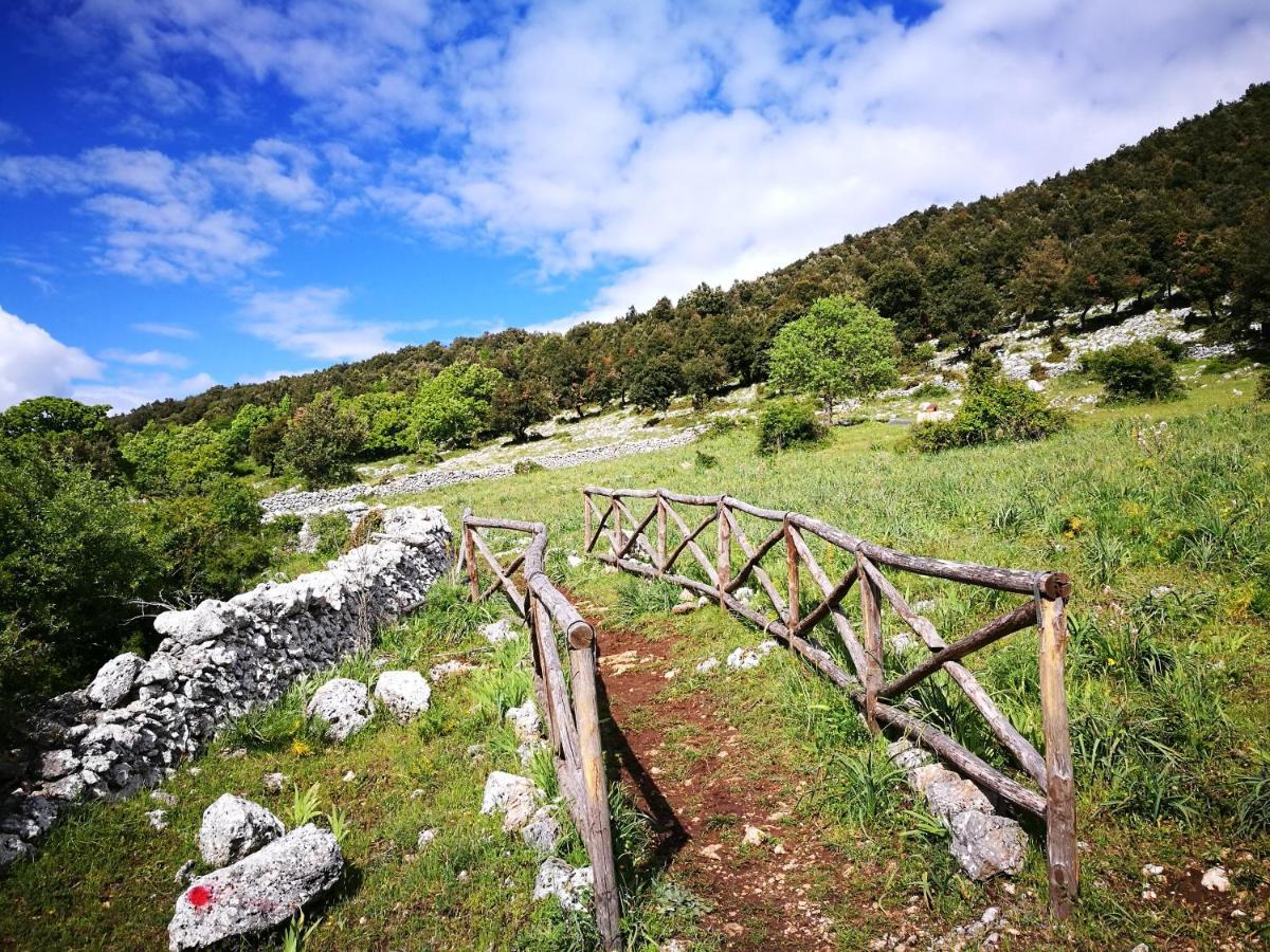 Bed & Breakfast Coppadicuocobb Mattinata