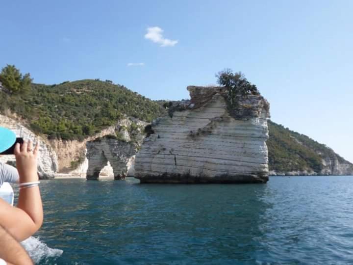Coppadicuocobb * Mattinata